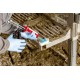 Technobase 2CB dwuskładnikowy klej do racic 16282 | Exvi