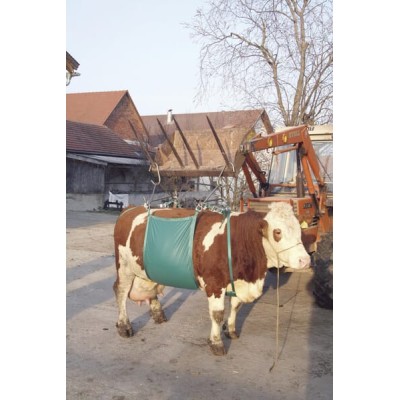 Podnośnik temblakowy dla bydła VV1049 | Exvi