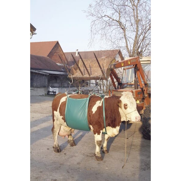 Podnośnik temblakowy dla bydła VV1049 | Exvi