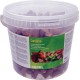 Przysmak dla koni, jabłkowy, 3 kg VV7811 | Exvi