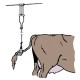 Podtrzymywacz ogona „Allgäu”, bardzo 112803KER | Exvi