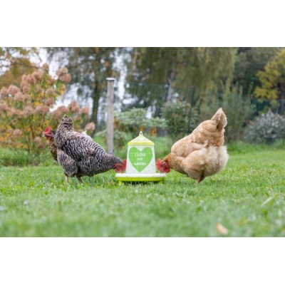 Karmidło, zielone 2.4 l / 2 kg 70168KER | Exvi