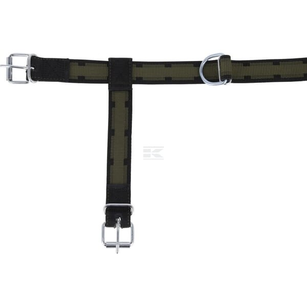 Krowy i młode byki rasy Halter 12501KER | Exvi