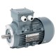 Silnik elektryczny paszociągu, 0,75 kW 015602 | Exvi
