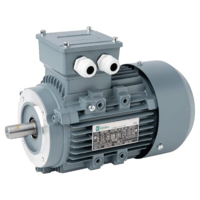 Silnik elektryczny paszociągu, 0,75 kW 015602 | Exvi