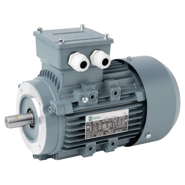 Silnik elektryczny paszociągu, 0,75 kW 015602 | Exvi