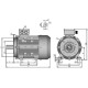 Silnik elektryczny paszociągu, 0,75 kW 015602 | Exvi