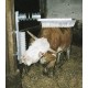 Czochradło dla bydła EuroFarm 29325 | Exvi