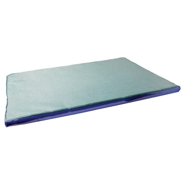 Mata dezynfekcyjna 1200x1000x30 mm 1640452025 | Exvi