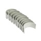 Komplet panewek głównych N-0.75 (III 9125025310U | Exvi