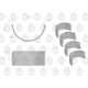 Komplet panewek korbowodowych N-1.00 (IV 9006012410U | Exvi