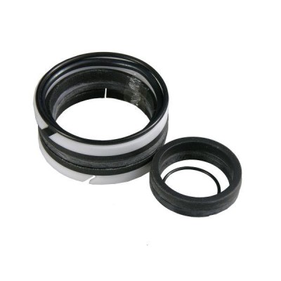 Komplet uszczelniaczy cylindra T-214/1/3 Cyklop F-318 | Exvi