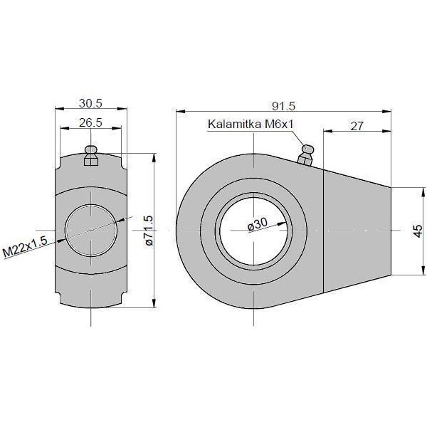Ucho siłownika łożysko GE-30 KT2*50 (UE2. 5058996286 | Exvi