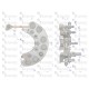 Prostownik alternatora 9515672EX C-385 95/15-672/5 | Exvi