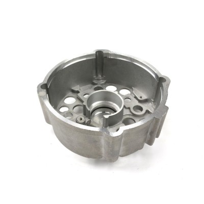 Tarcza pokrywa tylna alternatora EX-242400EX | Exvi