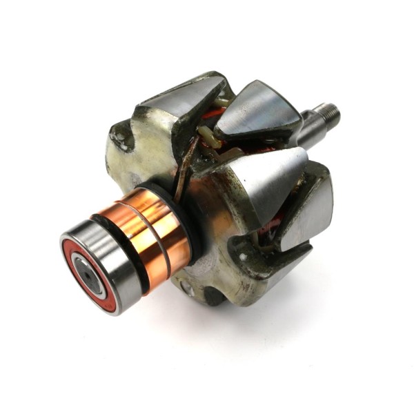 Wirnik alternatora EX257000 A120 Bizon EX-256300EX | Exvi