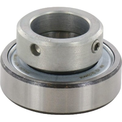 Wkład łożyska 20x42x12 mm INA/FAG RALE20NPPFA106 | Exvi