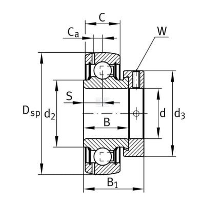 Wkład łożyska 35x72x19 mm INA/FAG GRAE35NPPBFA106 | Exvi