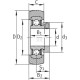 Wkład łożyska 25x62.2x20.8 mm INA/FAG RABRB2562FA106 | Exvi