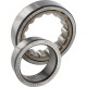 Łożysko walcowe 50x90x23 mm SKF NJ2210ECPHC4SKF | Exvi
