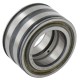 Łożysko walcowe 40x68x38 mm INA/FAG SL045008PP | Exvi