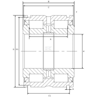 Łożysko walcowe 80x125x60 mm INA/FAG SL045016PP2NR | Exvi
