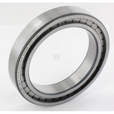 Łożysko walcowe 100x140x24 mm INA/FAG SL182920BXL | Exvi