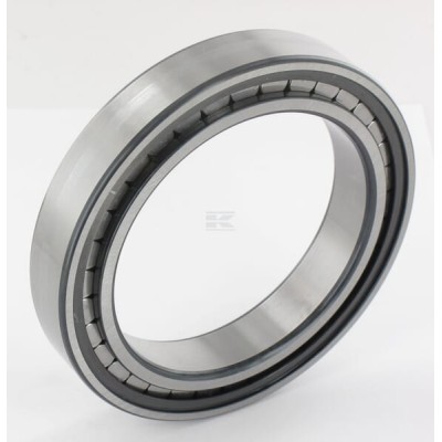 Łożysko walcowe 100x140x24 mm INA/FAG SL182920BXL | Exvi