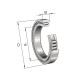 Łożysko walcowe 100x140x24 mm INA/FAG SL182920BXL | Exvi