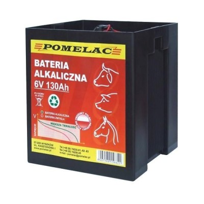 Bateria alkaliczna 6V / 130Ah 20103100001 | Exvi