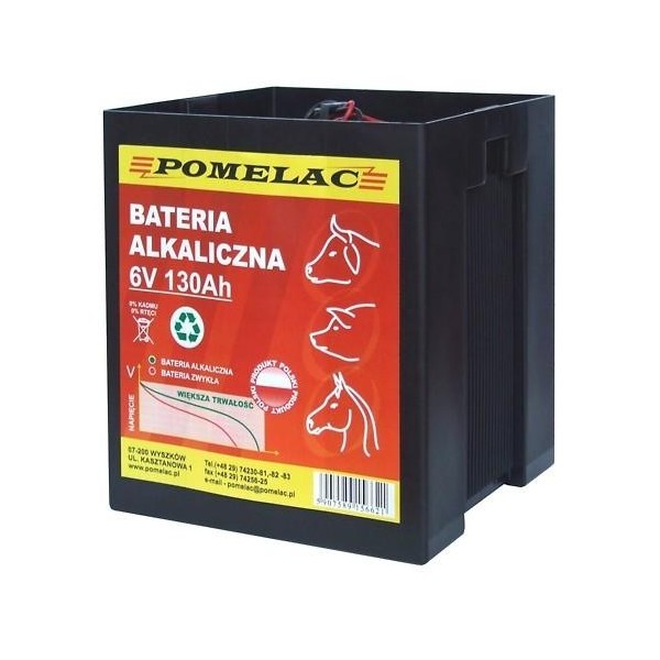 Bateria alkaliczna 6V / 130Ah 20103100001 | Exvi