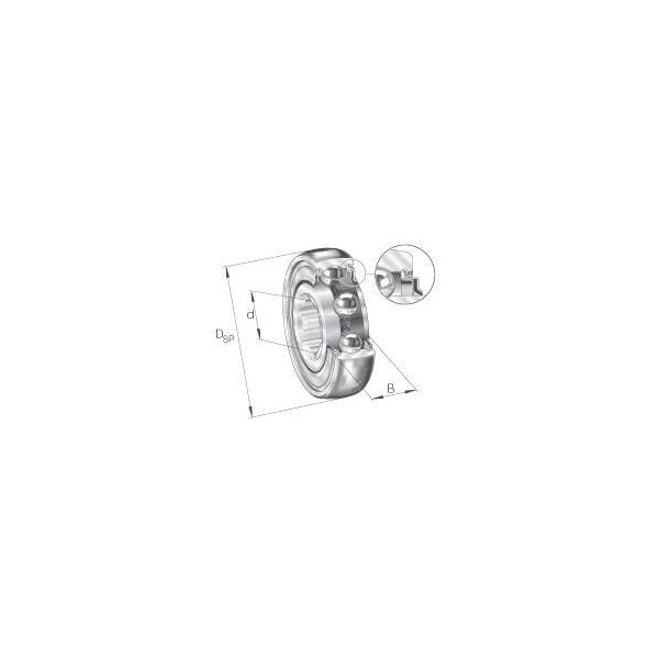 Łożysko kulkowe zwykłe SK102207KRRBAH10 | Exvi
