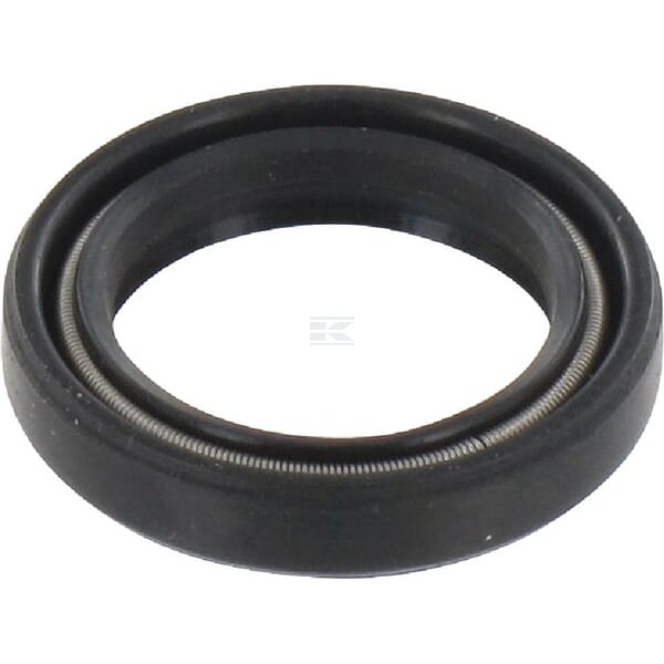 Uszczelniacz oleju 16x22x4 mm typ: CC 16224CCP001 | Exvi