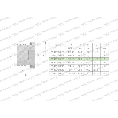 Korek hydrauliczny calowy (na imbus) 3/8" 400100E06 | Exvi