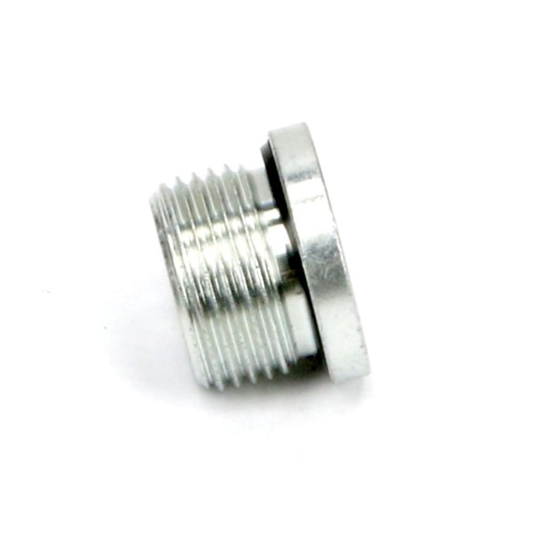 Korek hydrauliczny calowy (na imbus) 1 400100E20 | Exvi