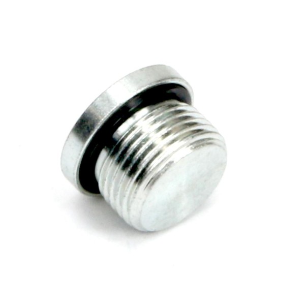 Korek hydrauliczny metryczny (na imbus) 401900E16 | Exvi
