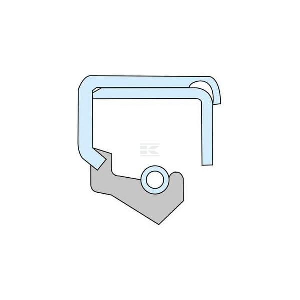 Uszczelniacz oleju 40x62x12 mm typ: DB 406212DBP001 | Exvi