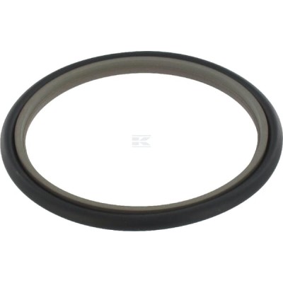 Uszczelniacz tłoczyska SAS 95.1x80x6.3 mm SAS8095163 | Exvi