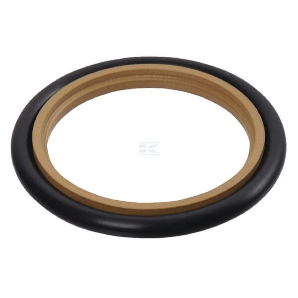 Uszczelniacz tłoczyska SAS 55.1x40x6.3 mm SAS4055163 | Exvi
