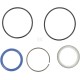Zestaw uszczelek CSKYAN17245972010 | Exvi