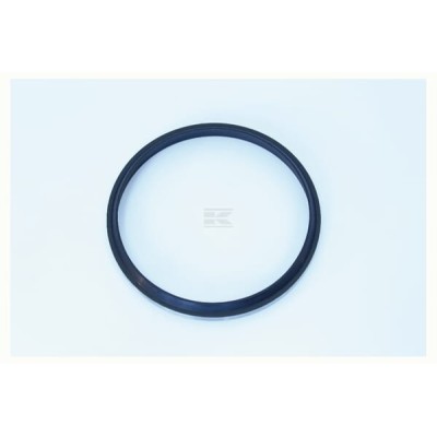 Uszczelka NWS00521 | Exvi