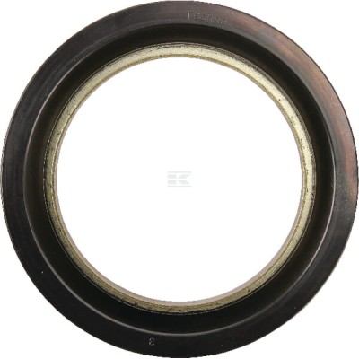 Uszczelniacz oleju 4305912 | Exvi