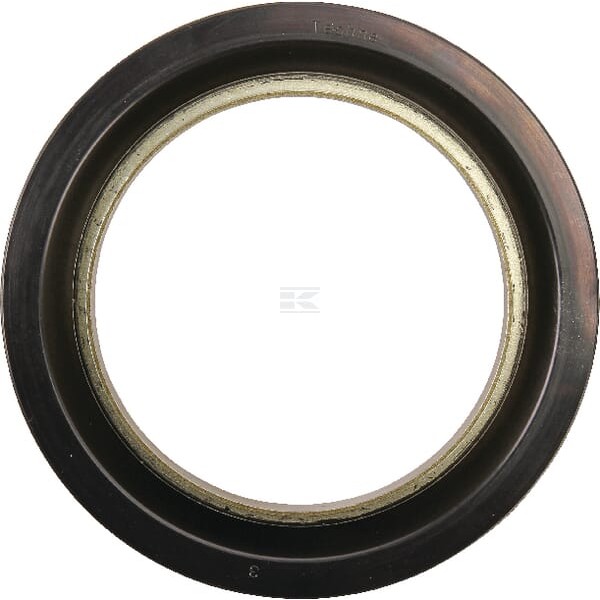 Uszczelniacz oleju 4305912 | Exvi