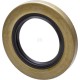 Uszczelniacz oleju 302957A1N | Exvi