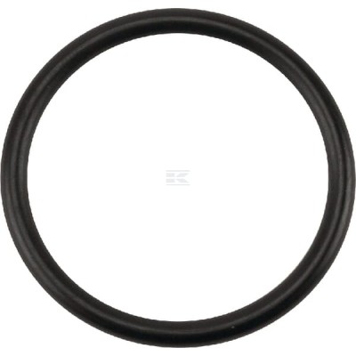 Pierścień o-ring NWS01517 | Exvi