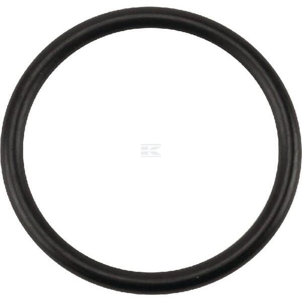 Pierścień o-ring NWS01517 | Exvi
