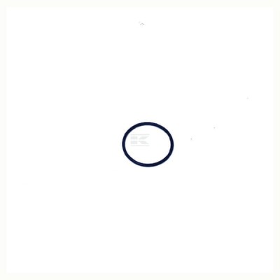 Pierścień o-ring NWS00017 | Exvi