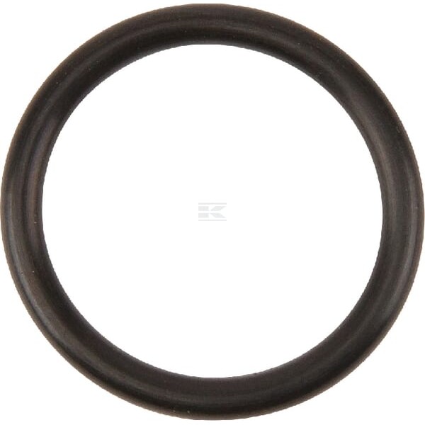 Pierścień o-ring NWS01524 | Exvi