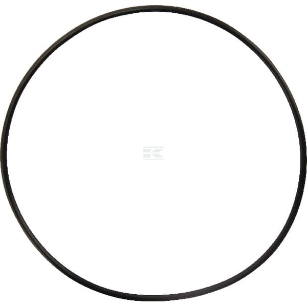 Pierścień uszczelniający o-ring 151.99x3.53 9375680 | Exvi