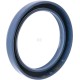 Uszczelniacz oleju NWS00425 | Exvi